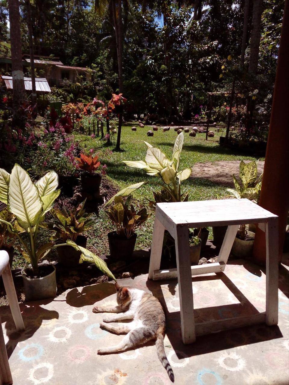 Batuan Hammock Hostel Esterno foto