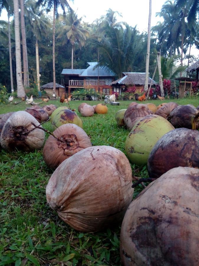 Batuan Hammock Hostel Esterno foto